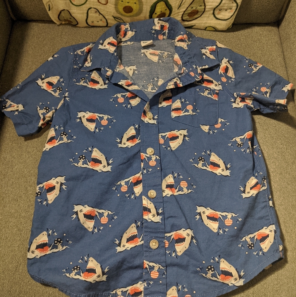Bottom Down Shirt